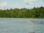 DSC00025