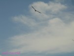 DSC00027