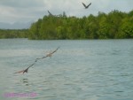 DSC00030