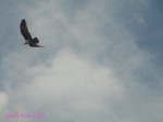 DSC00034