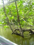 DSC00043