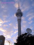 DSC02240