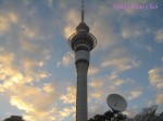 DSC02242