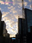 DSC02249