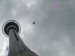 DSC02279