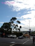 DSC02284