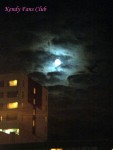 DSC02289