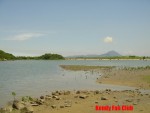 DSC04265