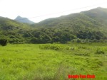 DSC04277