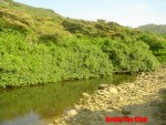 DSC04279