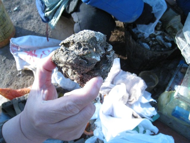 IMG 2480