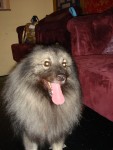 DSC00594