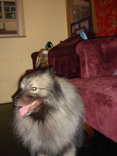 DSC00595