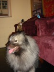 DSC00595