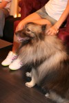IMG 2148 RJ