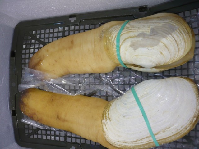 P1010143