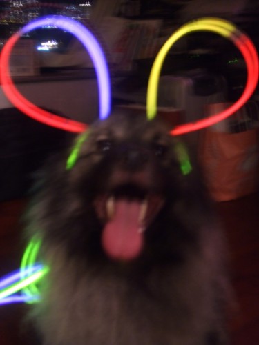 t 020