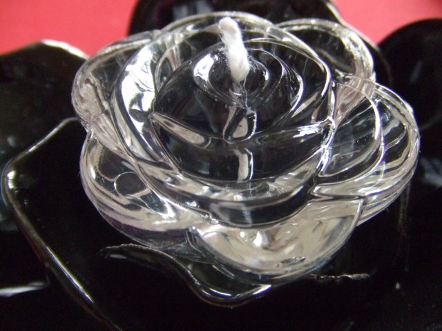 d 113