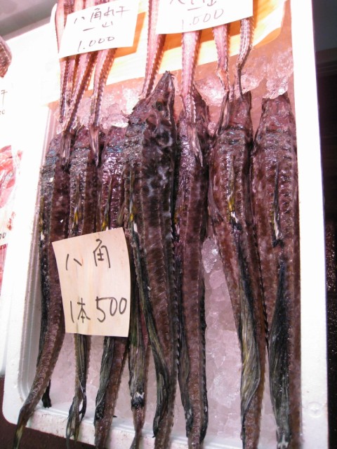 IMG 0530