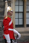IMG 9610 resize