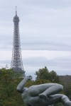 IMG 0772