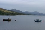 IMG 0285