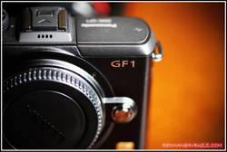 �ʭ��ۤ��G PANASONIC GF1