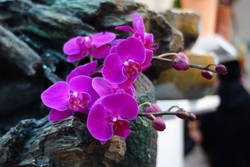 �ʭ��ۤ��G Sample