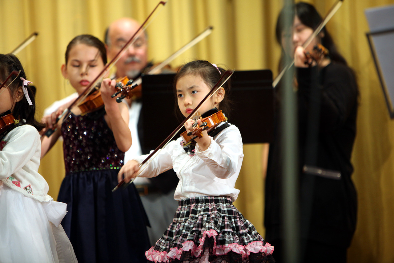 Violin 015