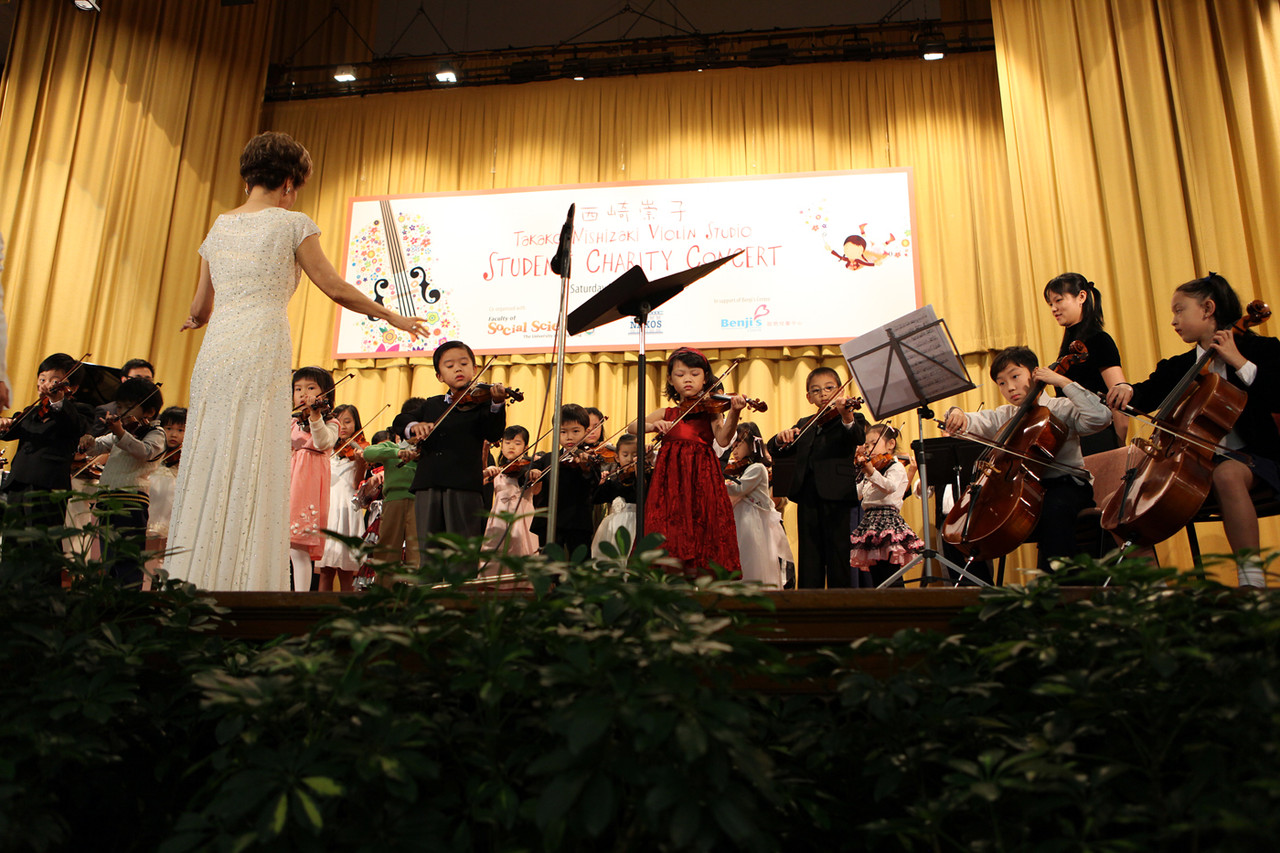 Violin 016