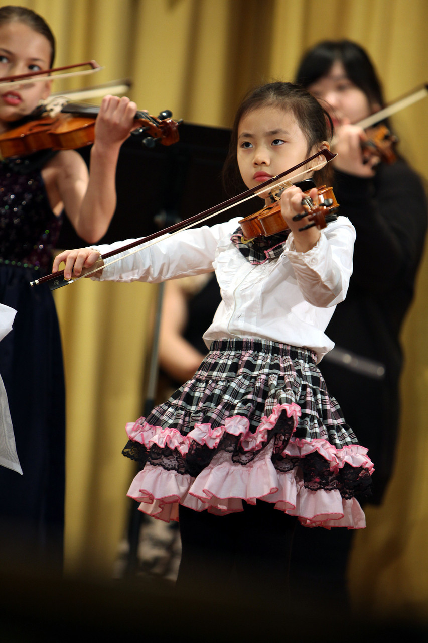 Violin 017