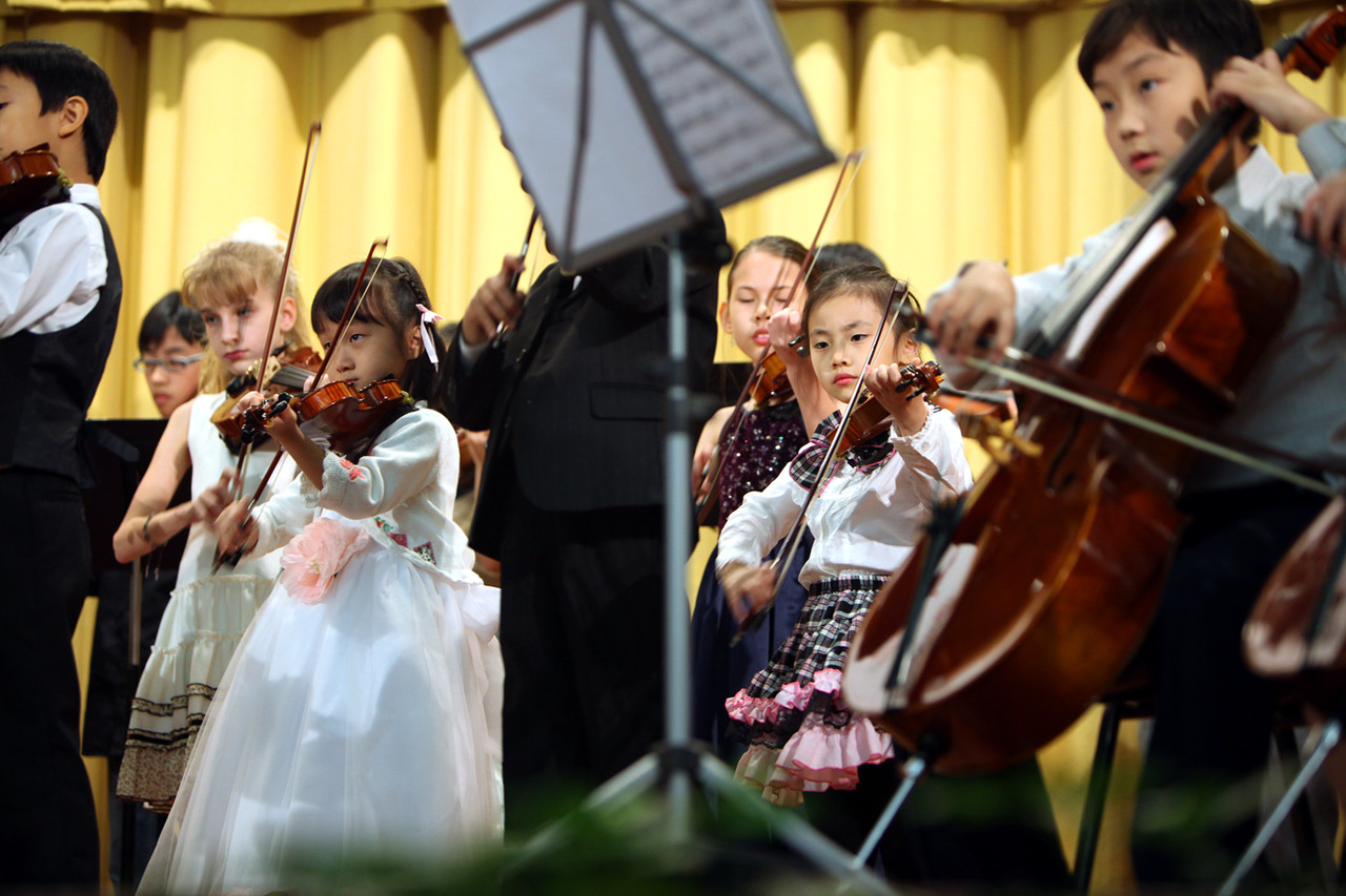 Violin 019
