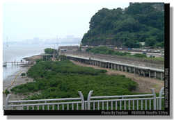 DSCF4690a
