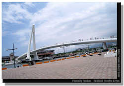 DSCF4854a
