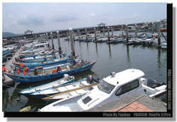DSCF4865a