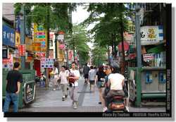 DSCF4988a
