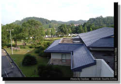 DSCF5016a