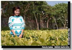 DSCF0848a
