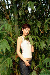 DSCF9536a