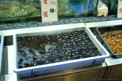 DSCF6759a