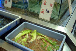 DSCF6761a