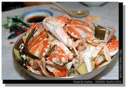 DSCF7201a