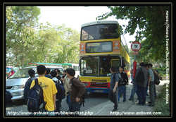 DSCF5788a