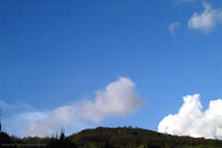 DSCF1930a