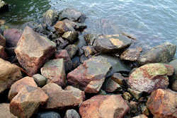 DSCF3349a