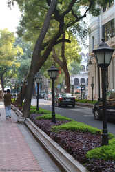 DSCF8325a