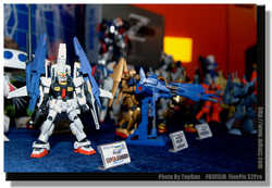 DSCF0566a