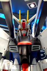 DSCF0802a