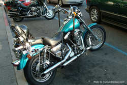 DSCF5848a