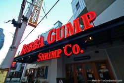 DSCF5871a